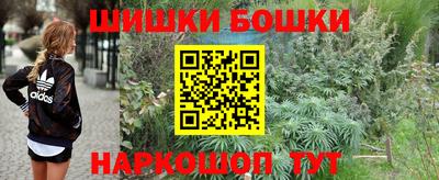 стаф Бузулук