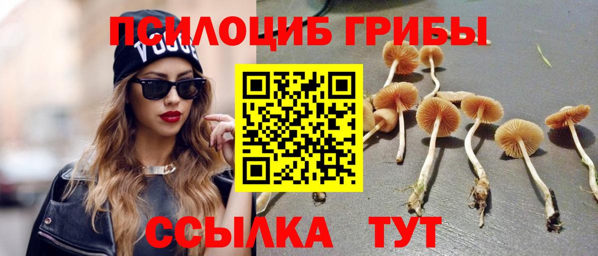 купить наркоту  Псилоцибиновые грибы GOLDEN TEACHER  Вход с VPN  Пятигорск 
