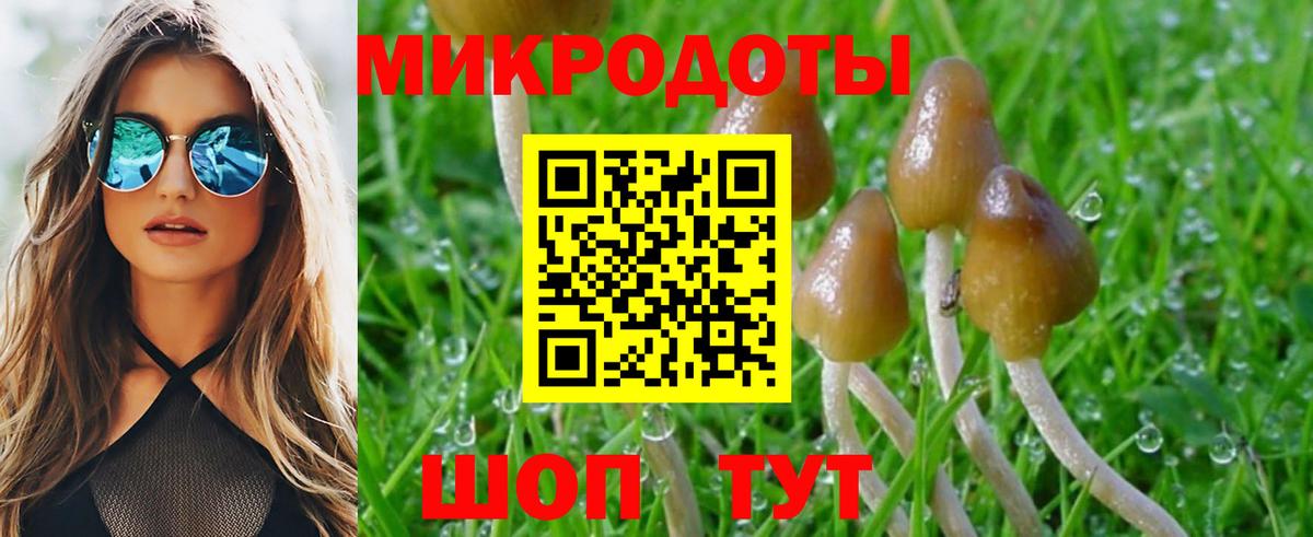 Галлюциногенные грибы прущие грибы Пятигорск